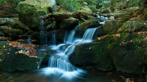 Roaring Fork Motor Nature Trail