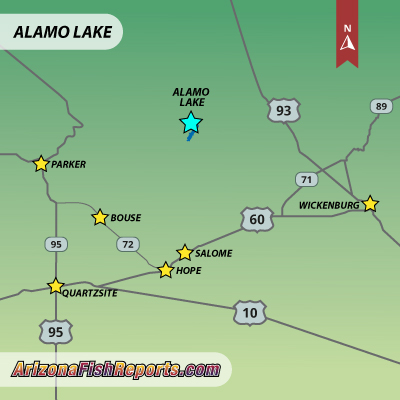 Alamo Lake, Arizona