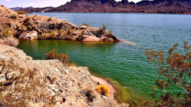 Lake Havasu, Arizona Fishing and Camping